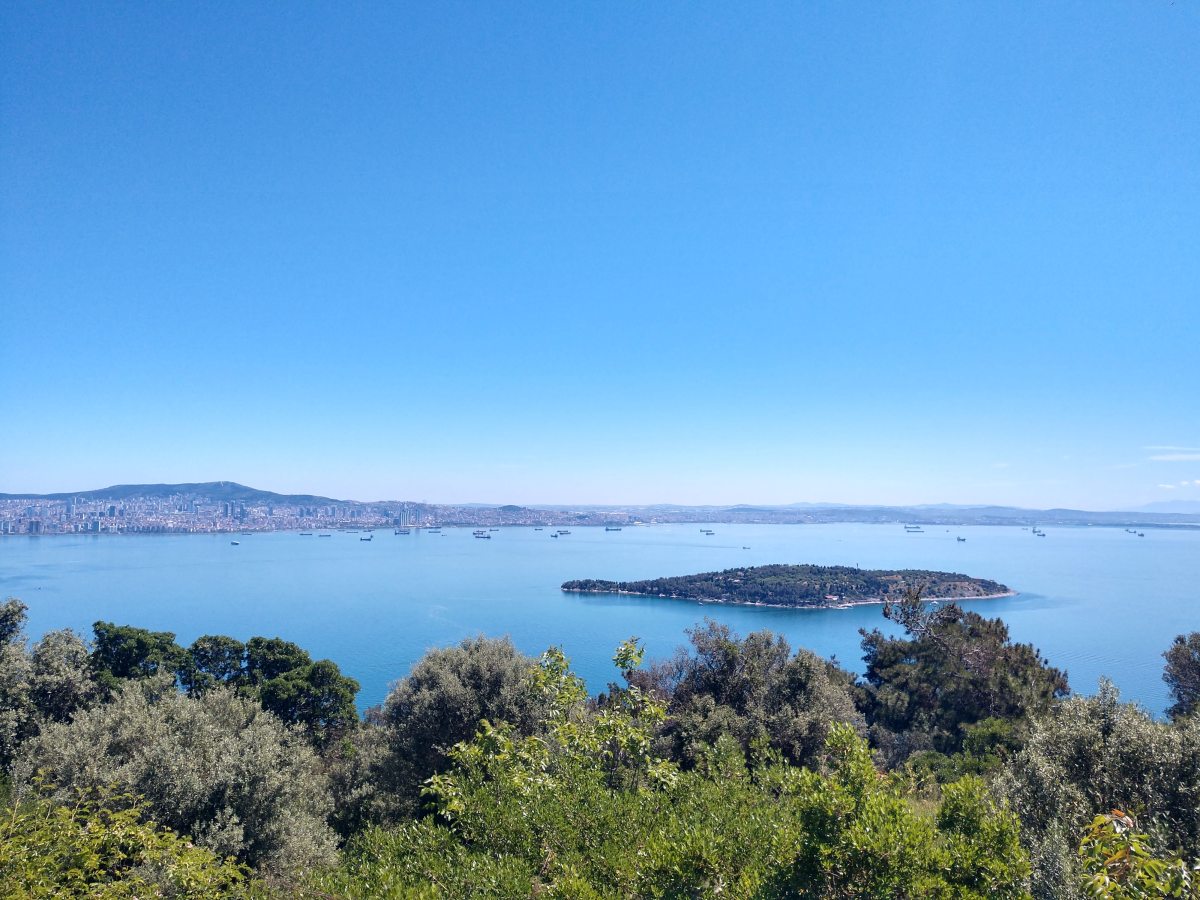 What to do in Buyukada,&nbsp;Turkey